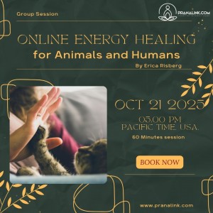 Online Energy Healing for animals and humans (Group Session)