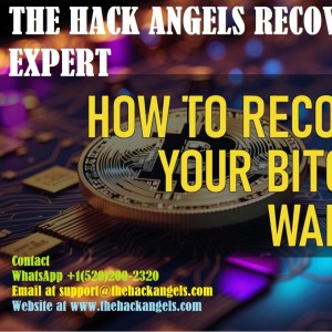 THE HACK ANGELS  RECOVERY EXPERT
