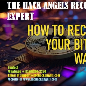 THE HACK ANGELS  RECOVERY EXPERT