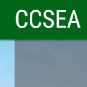 16th International Conference on Computer Science, Engineering and Applications (CCSEA 2026)