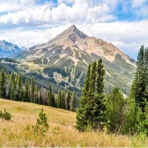 The National Conference on Wilderness Medicine on 25 Jul 2026 - 29 Jul 2026
