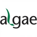ALGAE