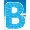 BICES