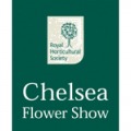 CHELSEA FLOWER SHOW