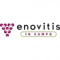 ENOVITIS IN CAMPO