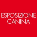 ESPOSIZIONE CANINA PADOVA