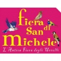FIERA DI SAN MICHELE