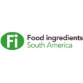 FI SOUTH AMERICA