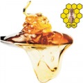 GOVERNMENTAL BEEKEEPING FAIR