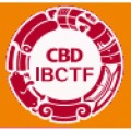 IBCTF - INTERNATIONAL BUILDING & CONSTRUCTION TRADE FAIR
