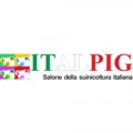 ITALPIG