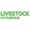 LIVESTOCK MYANMAR