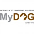 MY DOG