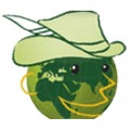 NOVI SAD FAIRS OF HUNTING, FISHING AND SPORT