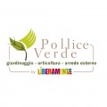 POLLICE VERDE - FERRARA