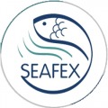SEAFEX