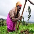 Training Course on Establishing And Strengthening Farmer Organizations