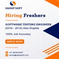 Software Testing 
