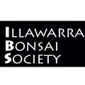 Annual Bonsai Show