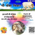 Gau Sewa Mission Mar'22 by Mittal Sewa Samiti