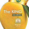 Mango Food Fest