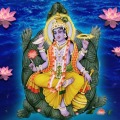 Kurma Avatar Homam