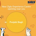Zigly Experience Center