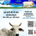Gau Sewa Mission May'2022 by Mittal Sewa Samiti