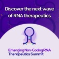 Emerging Non-Coding RNA Therapeutics Summit (Virtual Event)