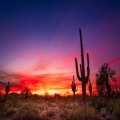 30th Annual Nicotine Dependence Center Conference: Tobacco Treatment and Digital Care