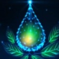 Biofuel Events