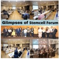 7th International Conference and Expo on Cell and Stem Cell Research
