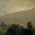 Rewilding Retreat