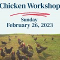 Chicken Workshop