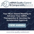 mRNA Quality Control and Comparability Summit
