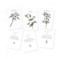 Listening to Flowers Workshop