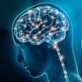 NEUROLOGY & ALZHEIMER’S DISEASE 