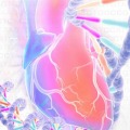 The Genetics of Heart and Vascular Disease