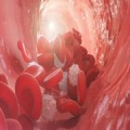 18th Bleeding and Thrombosing Diseases