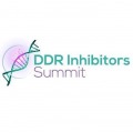 6th DDR Inhibitors Summit