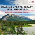 Diagnostic Imaging Update: Breast, MSK and Neuro- July 28-30, 2024