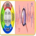 Training Course on Project Management, and Monitoring & Evaluation