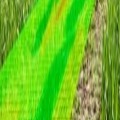 Training Course on Application of GIS in Agriculture and Climate Change