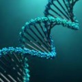 International Conference on GENETICS AND GENOME RESEARCH