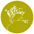 Seagriculture USA 2023 – 2nd International Seaweed Conference USA