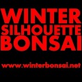 Winter Silhouette Bonsai Show