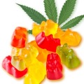 Easy Leafz CBD Gummies @https://easy-leafz-cbd-gummies.webflow.io/
