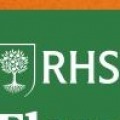 RHS FLOWER SHOW AT TATTON PARK