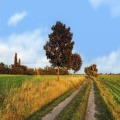 Transforming Community and Rural Healthcare '24: Inspiring Partnerships and Scaling Collaborative Impact