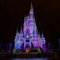 Primary Care CME at Walt Disney World Orlando, February 2025